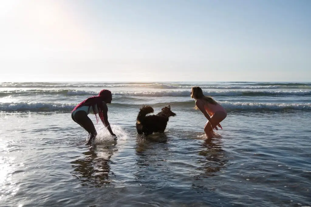 Urlauf auf Sylt mit Hund