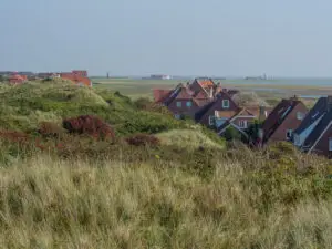 Erkunden Sie das Dorf Kampen auf Sylt, Horsa Hoog Sylt