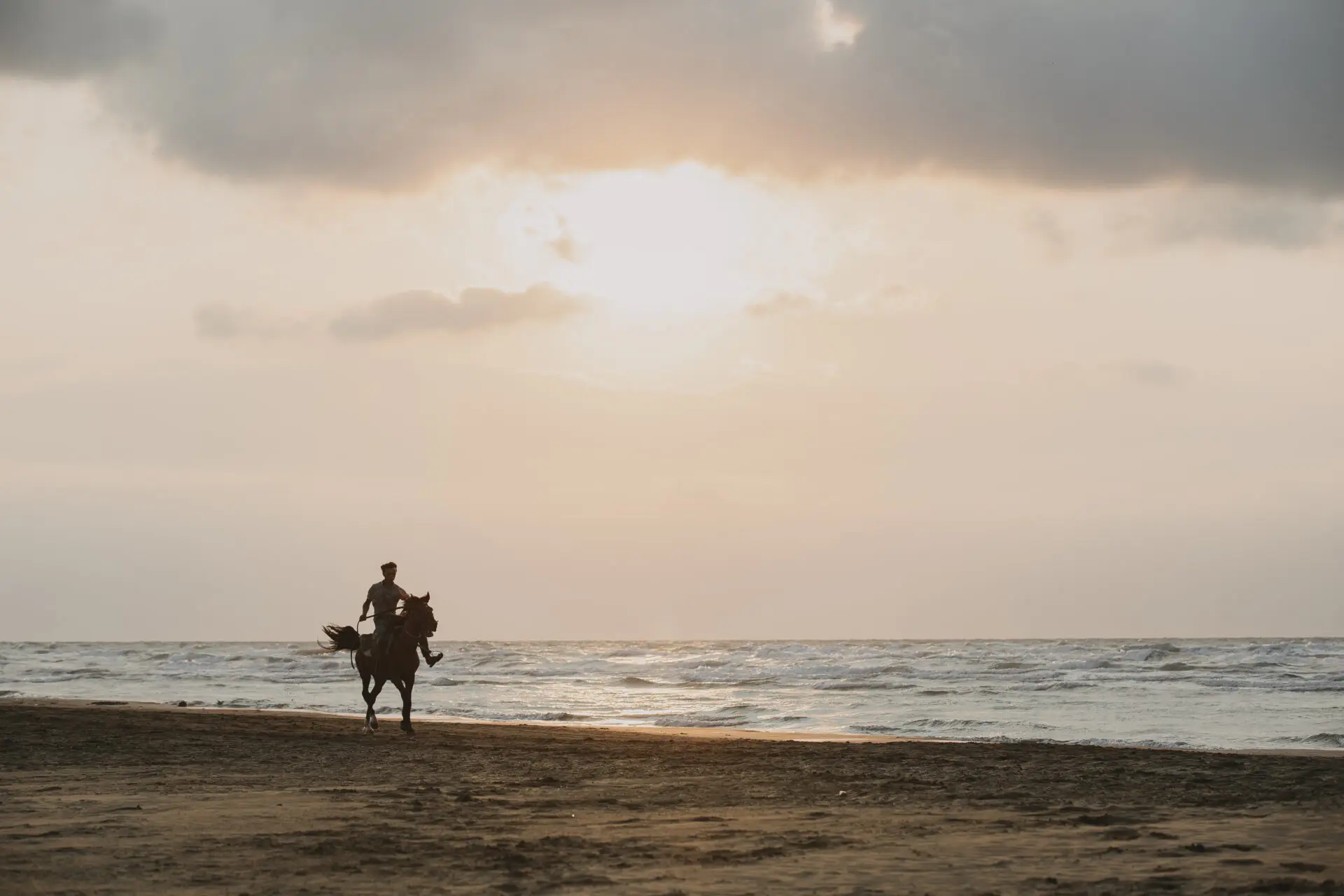 Reiten auf Sylt: Sonne, Strand und Pferd - Horsa Hoog Sylt