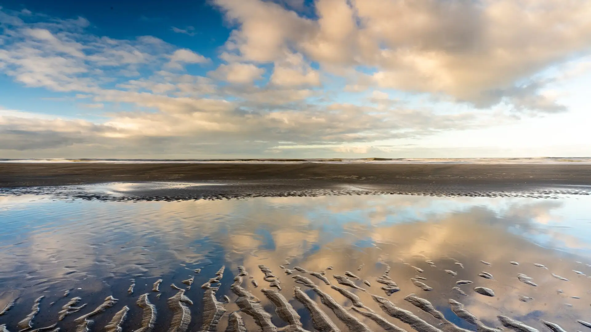 Erleben Sie die Schönheit einer Wattwanderung auf Sylt. Das perfekte Reiseziel für Naturliebhaber und Outdoor-Fans gleichermaßen.