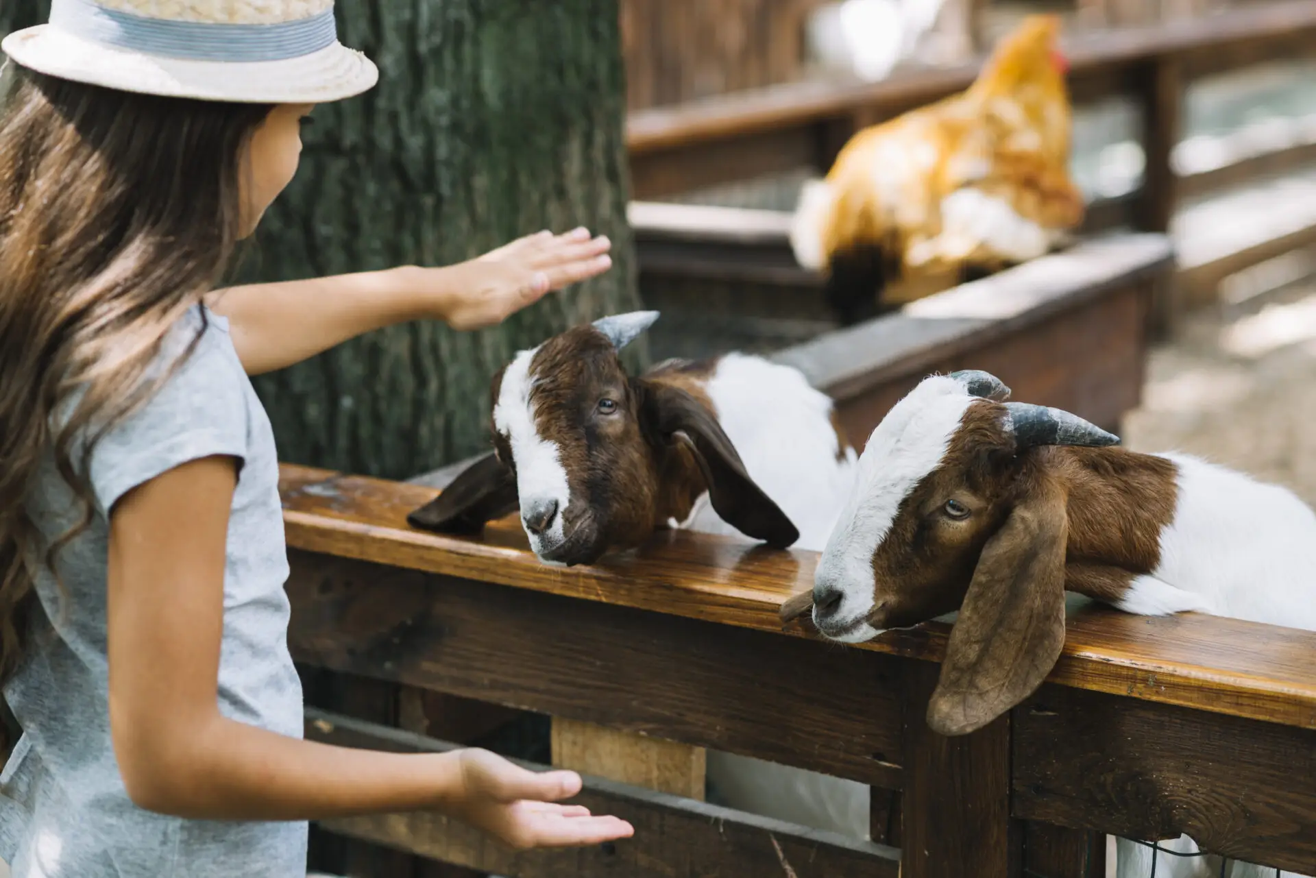 Besuchen Sie den Tierpark Tinnum auf Sylt