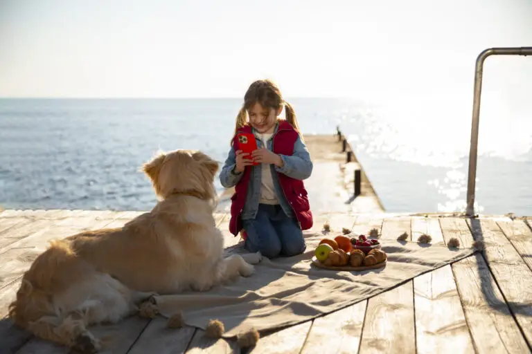 Urlaub auf Sylt mit Hund: Der ultimative Guide für hundefreundliche Aktivitäten